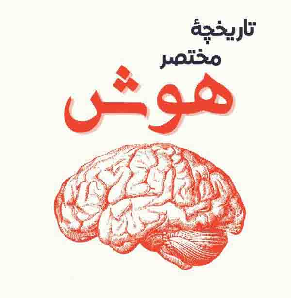 سفر به دنیای هوش: کتاب «تاریخچه مختصر هوش» نوشتهی مکس بنت